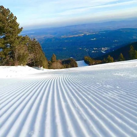 арборо гардънс д35 Apartmán Borovec