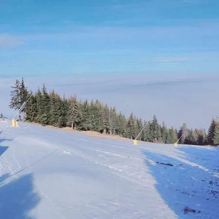 арборо гардънс д35 * Borovets