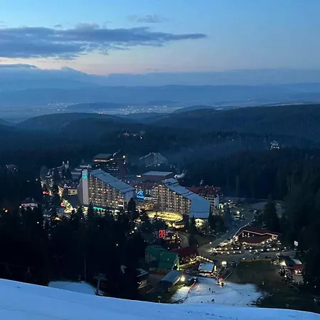 арборо гардънс д35 Borovets