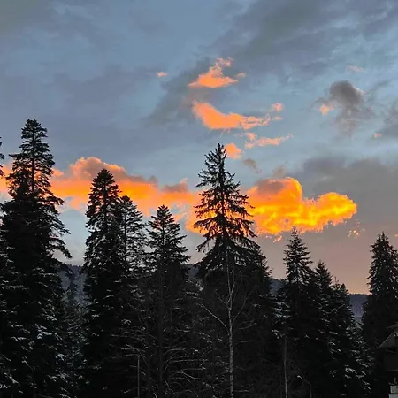 арборо гардънс д35