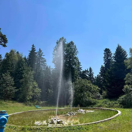 арборо гардънс д35 * Borovec