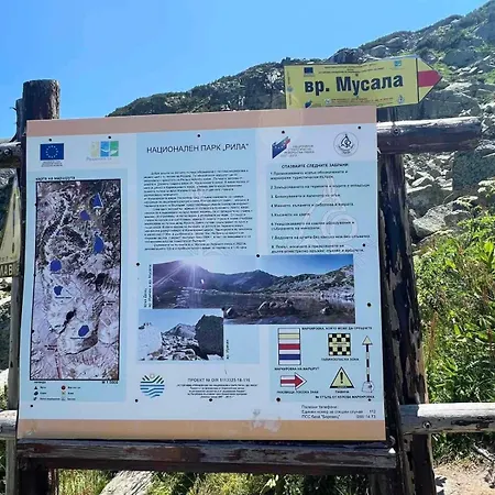 арборо гардънс д35 Borovec