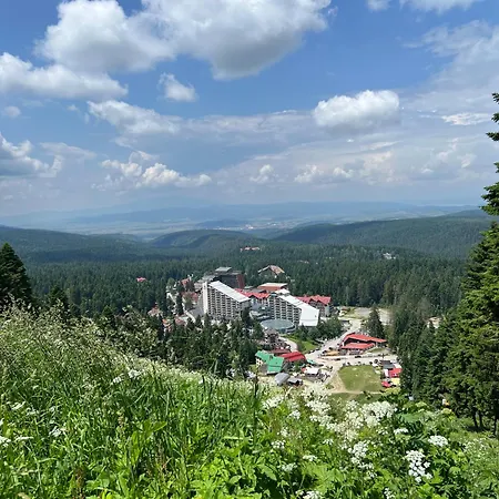 арборо гардънс д35 Apartmán