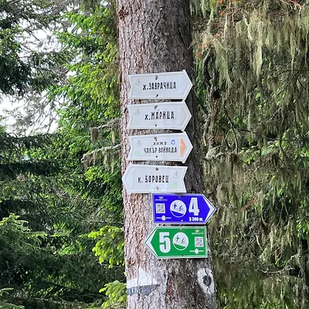 арборо гардънс д35 Apartmán