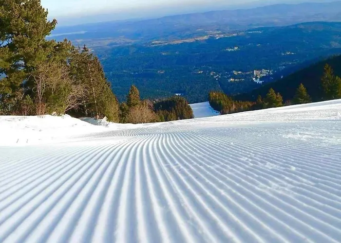 арборо гардънс д35 Apartmán Borovec