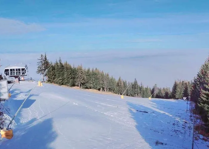 арборо гардънс д35 * Borovec