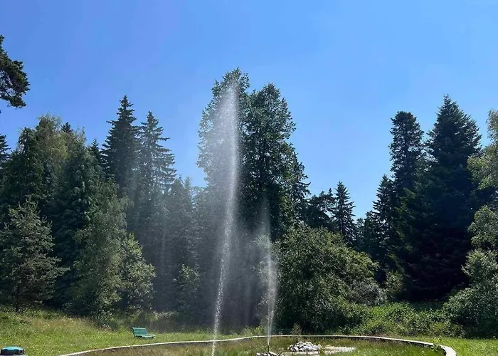 арборо гардънс д35 * Borovec