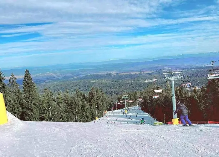 Apartmán арборо гардънс д35