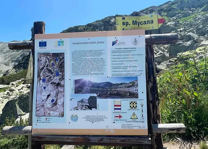 арборо гардънс д35 Borovec