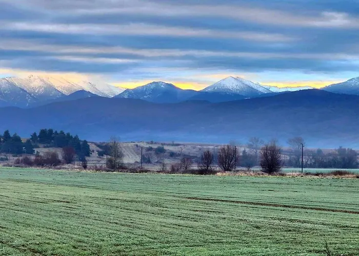 арборо гардънс д35