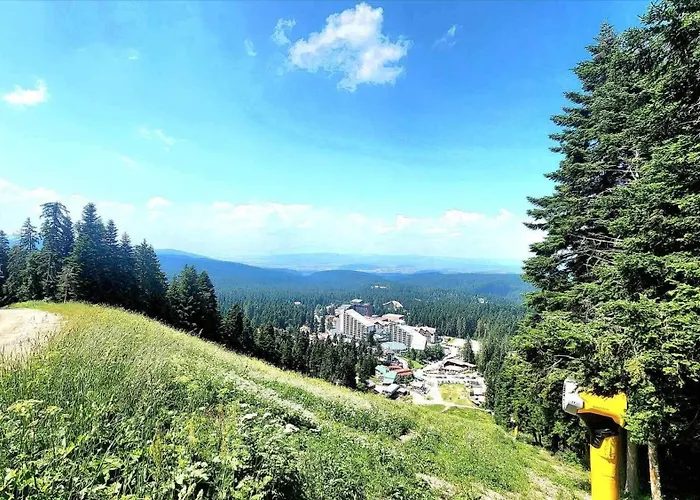 арборо гардънс д35