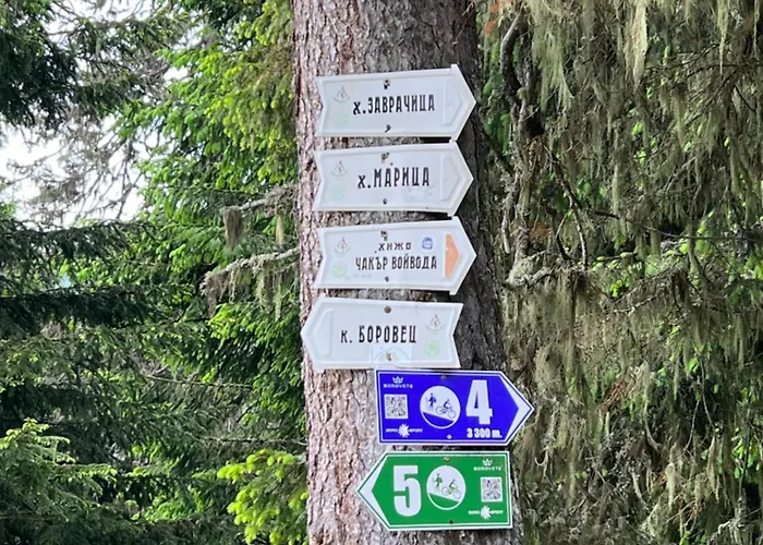 арборо гардънс д35 Apartmán